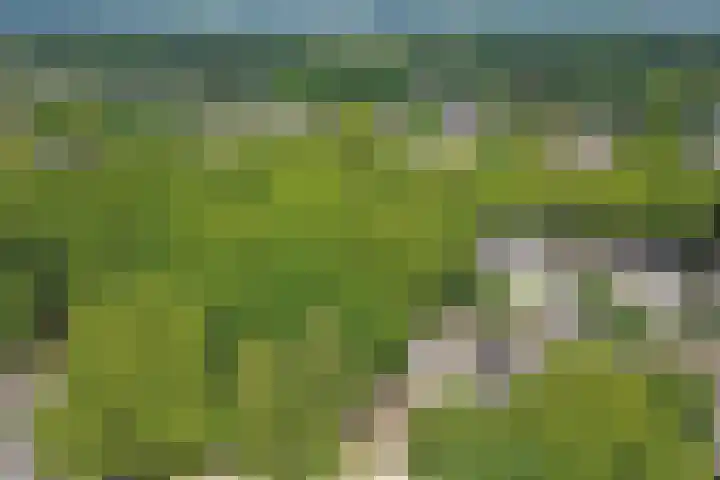 De Vlotbeemden 6 Waalre thumbnail 42