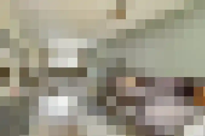 De Vlotbeemden 6 Waalre thumbnail 5