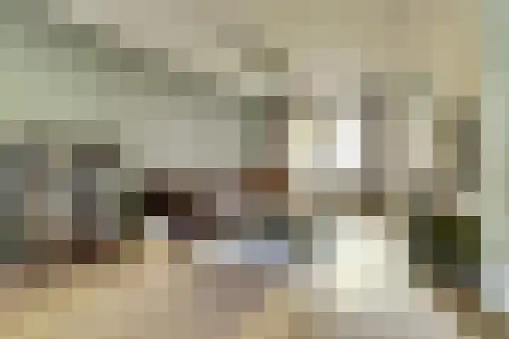 De Vlotbeemden 6 Waalre thumbnail 7