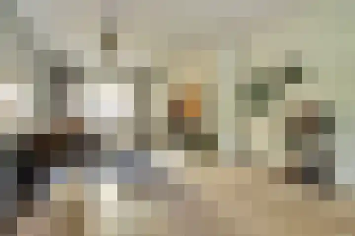De Vlotbeemden 6 Waalre thumbnail 8