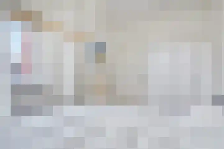 De Vlouw 1 C 5 Delft thumbnail 27