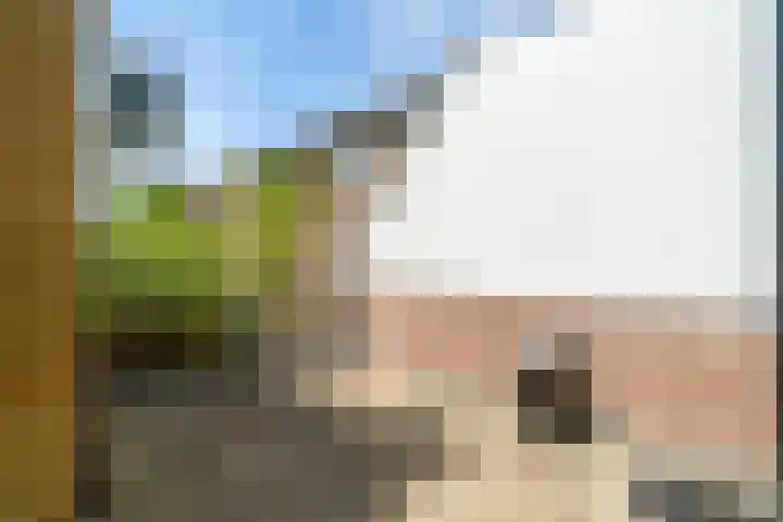 De Vlouw 44 A Delft thumbnail 14