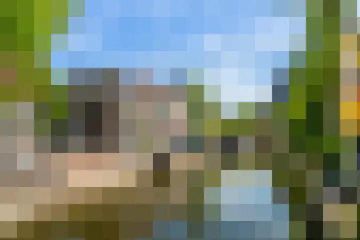 De Vlouw 44 A Delft thumbnail 21