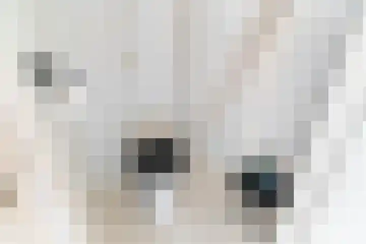 De Vlouw 44 A Delft thumbnail 8