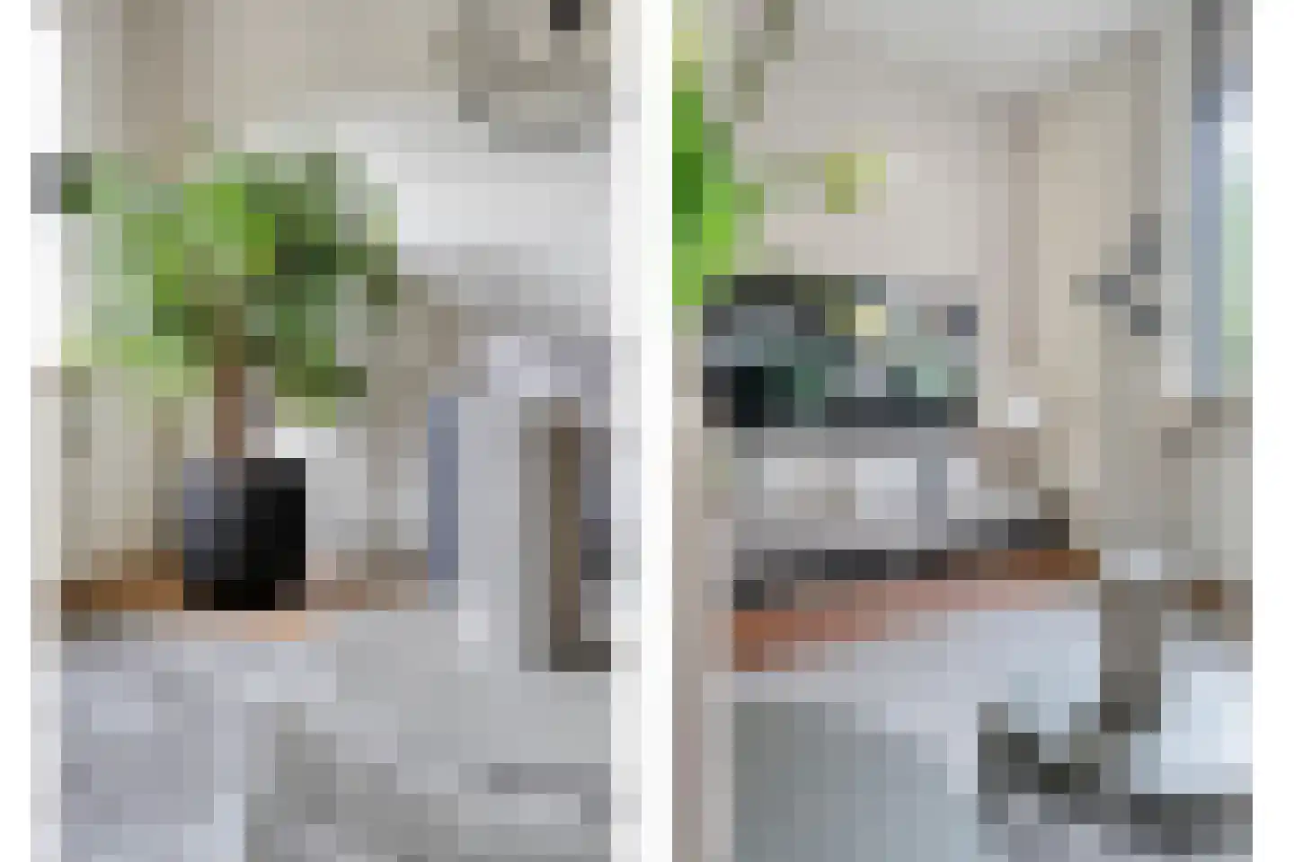 De Vluchtestraat 9 Enschede thumbnail 11