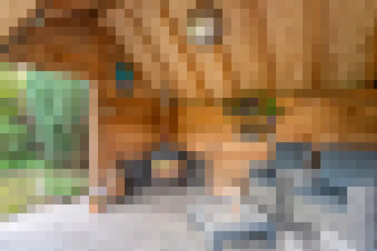 De Vluchtestraat 9 Enschede thumbnail 35