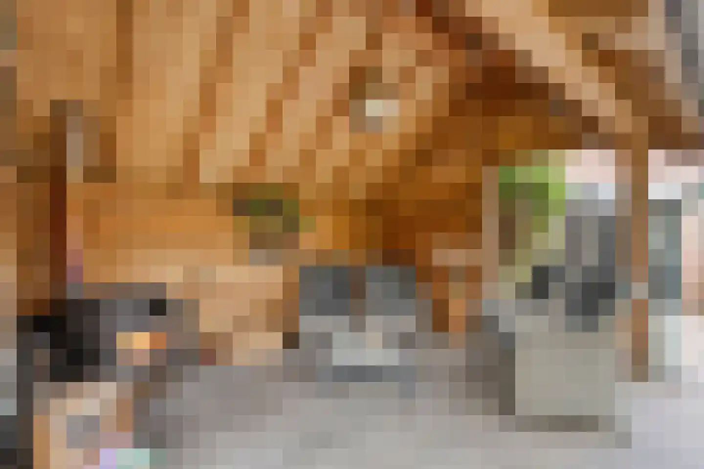 De Vluchtestraat 9 Enschede thumbnail 36