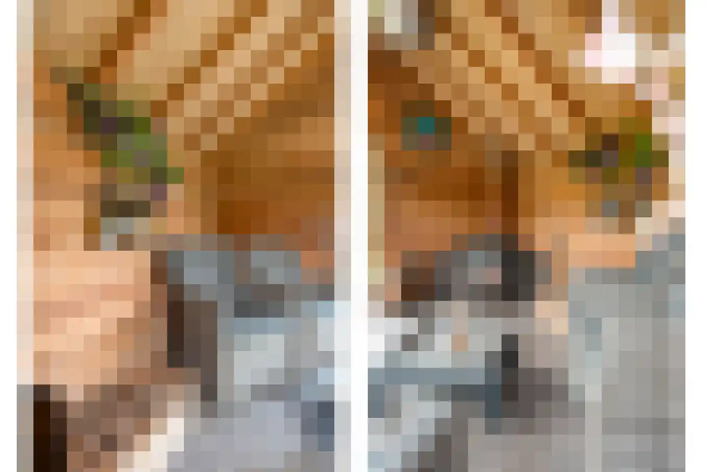 De Vluchtestraat 9 Enschede thumbnail 37