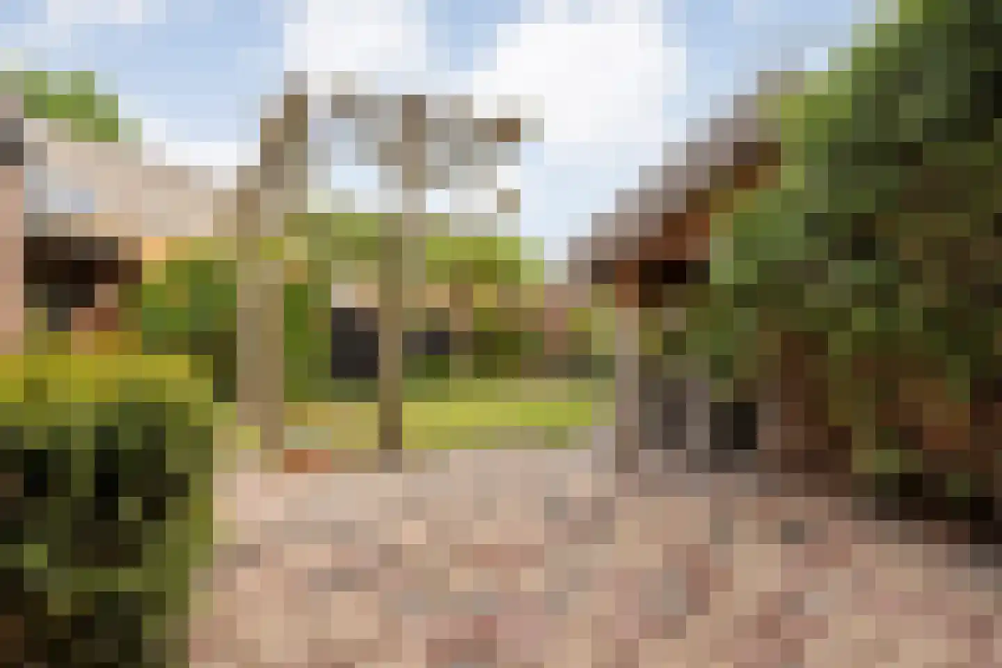 De Vluchtestraat 9 Enschede thumbnail 38