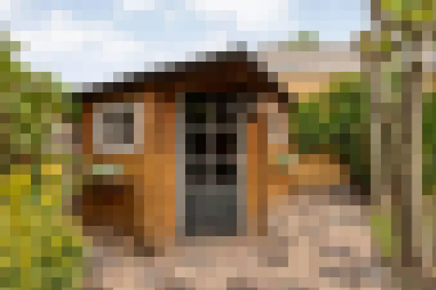 De Vluchtestraat 9 Enschede thumbnail 39