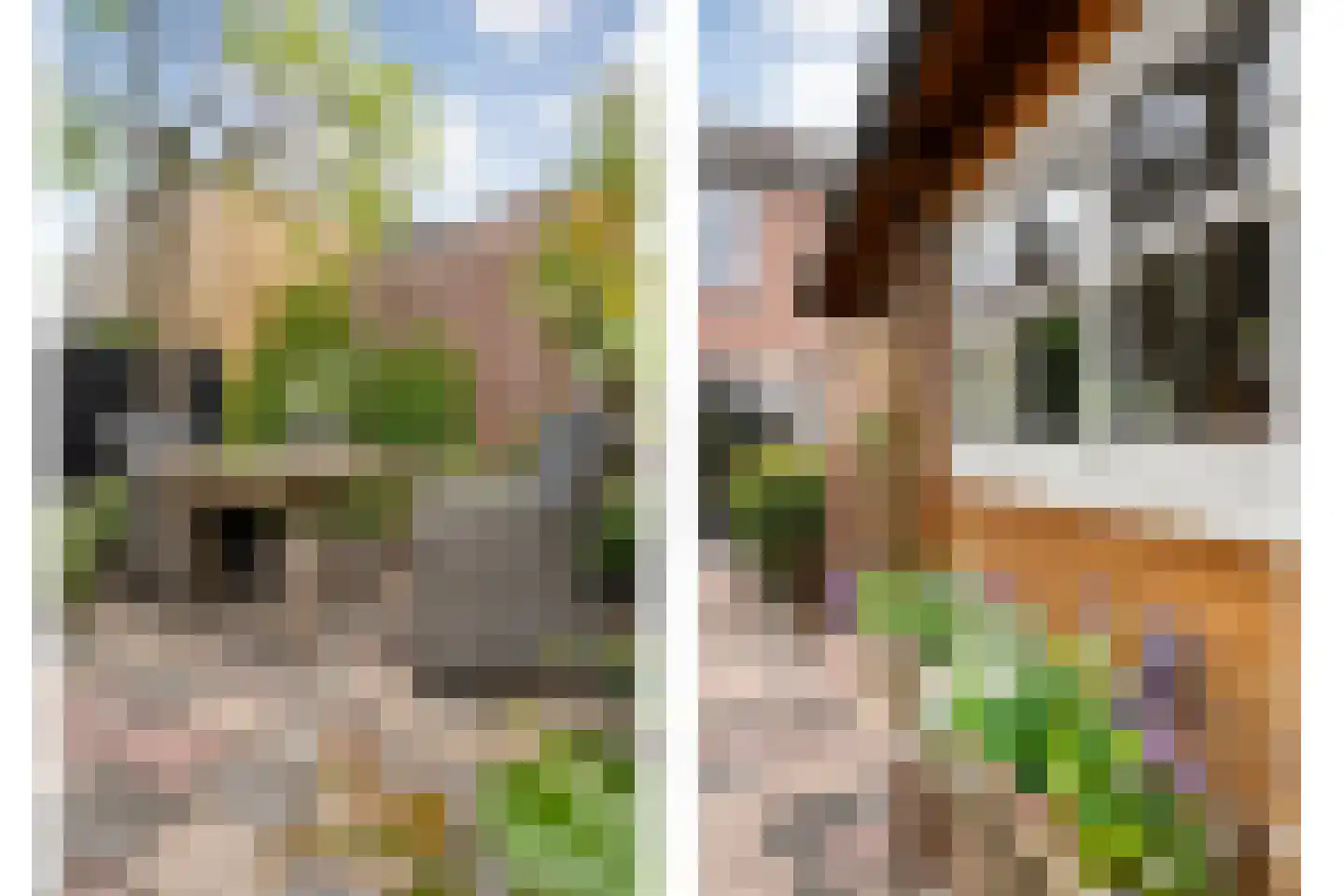 De Vluchtestraat 9 Enschede thumbnail 45