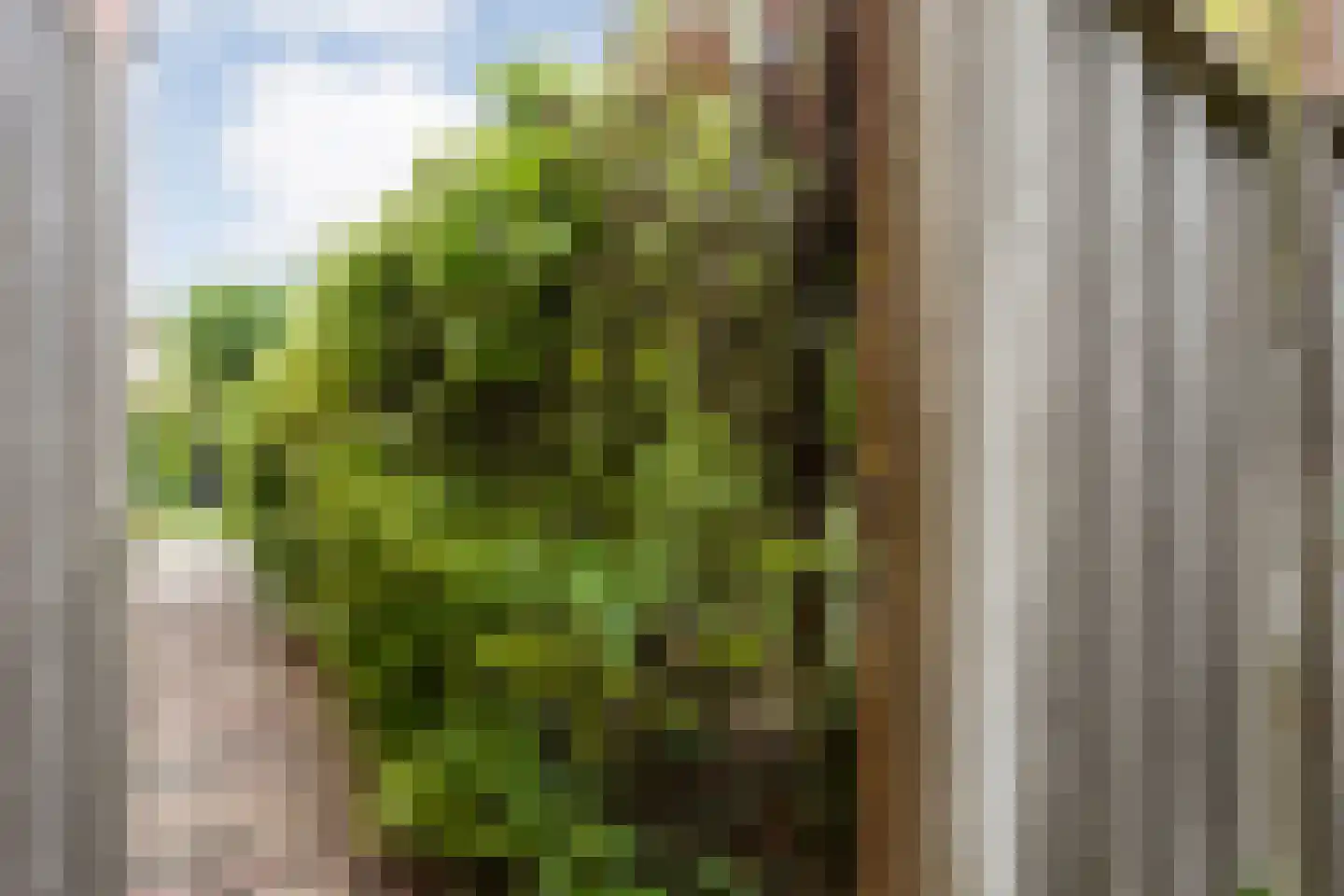 De Vluchtestraat 9 Enschede thumbnail 46