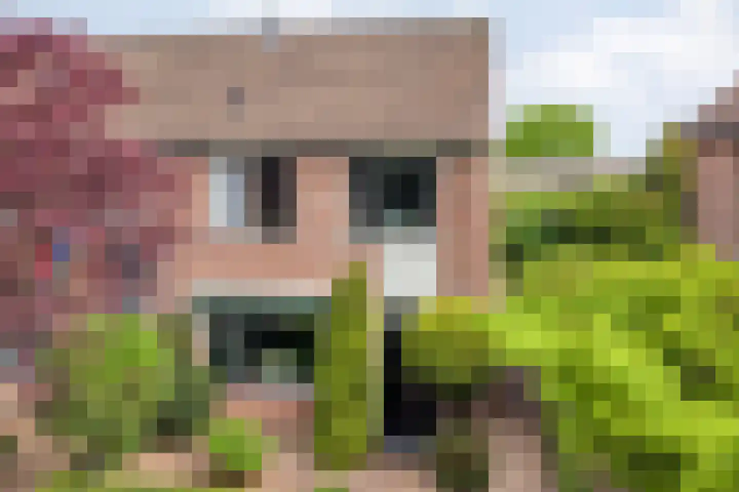 De Vluchtestraat 9 Enschede thumbnail 48