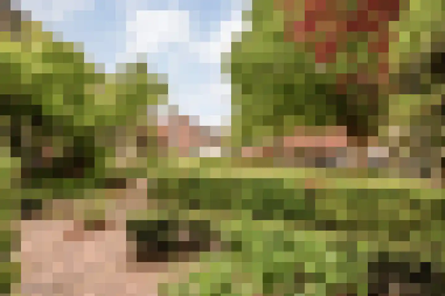 De Vluchtestraat 9 Enschede thumbnail 50