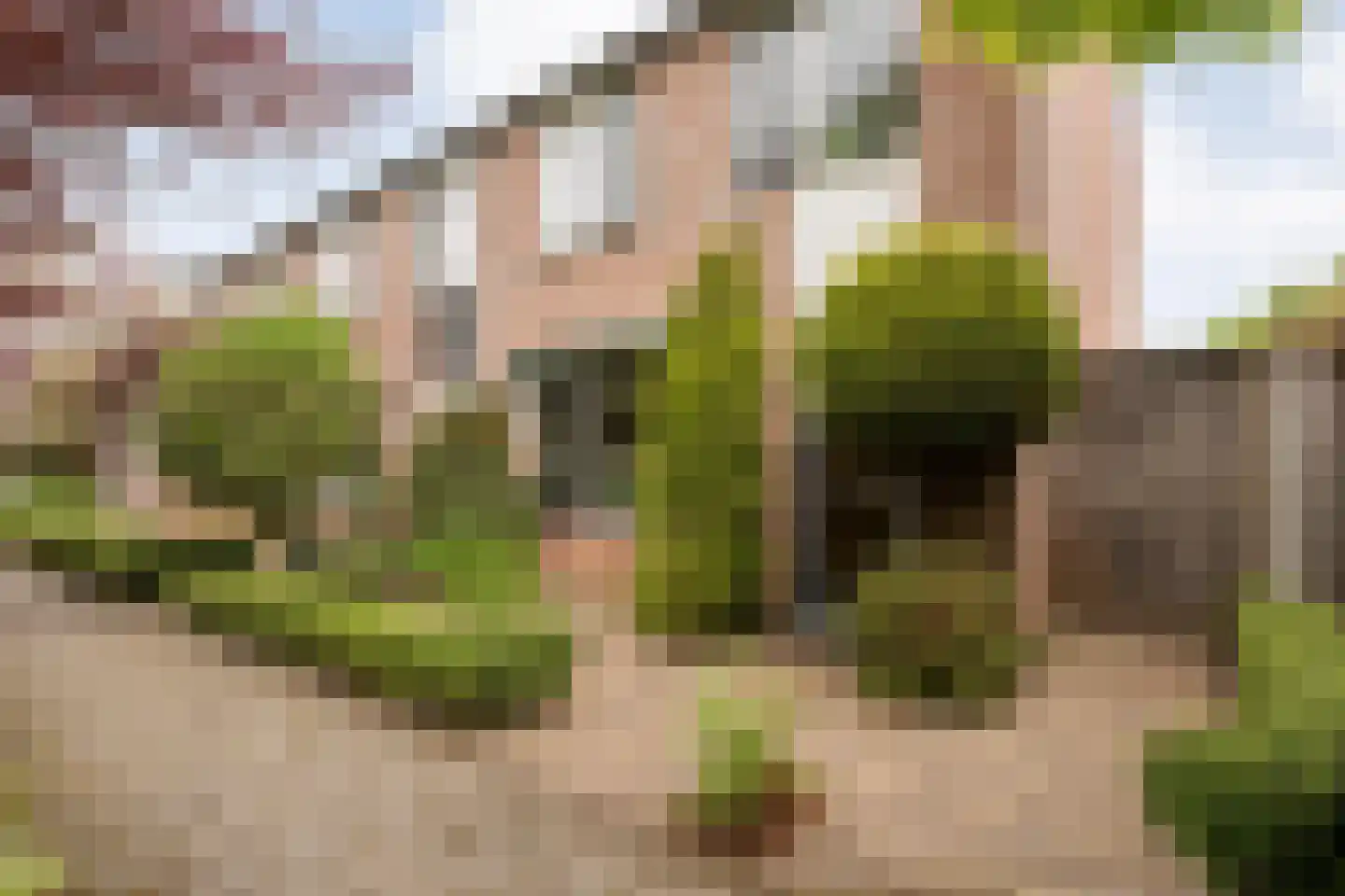 De Vluchtestraat 9 Enschede thumbnail 6