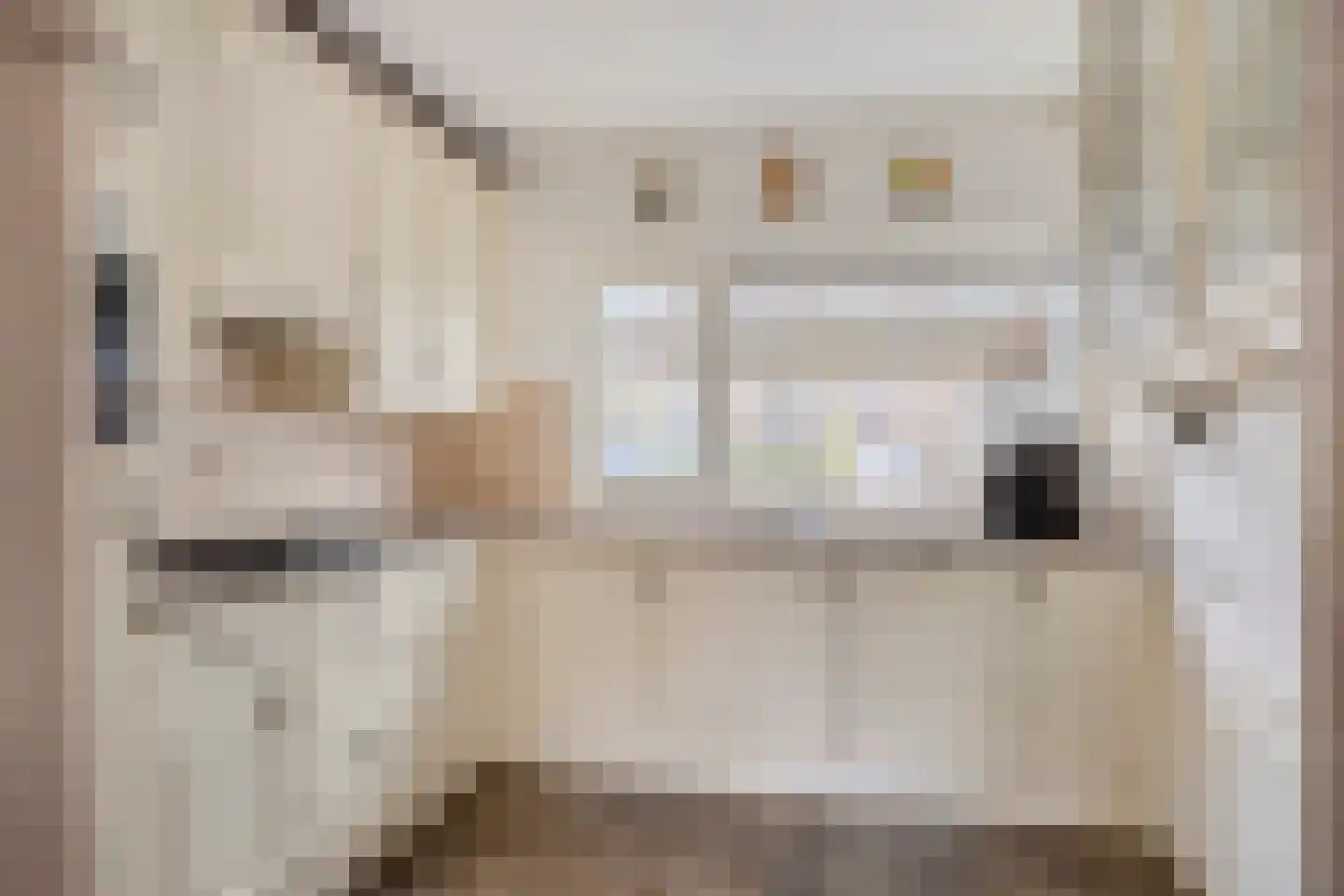 De Voerbaan 11 Dronten thumbnail 16