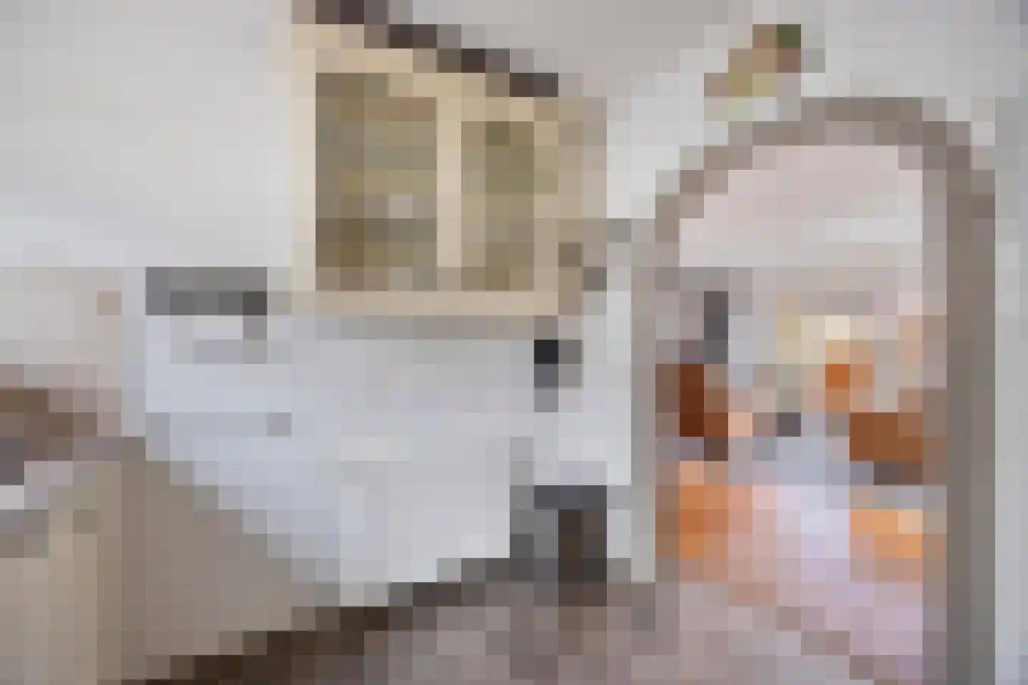 De Voerbaan 11 Dronten thumbnail 19