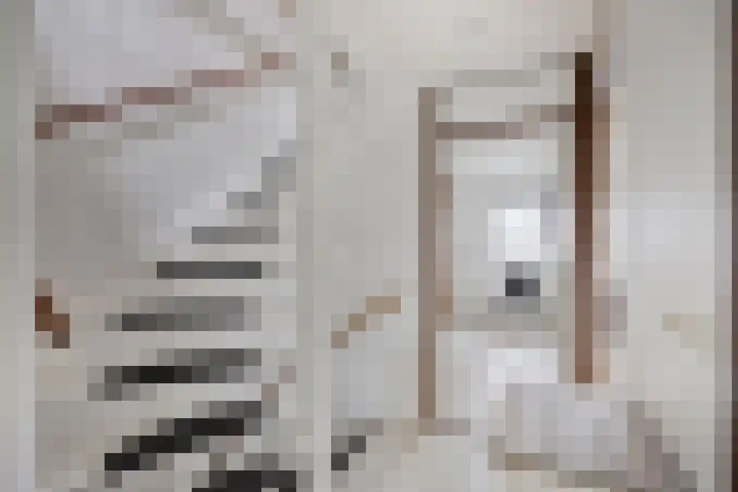 De Voerbaan 11 Dronten thumbnail 21
