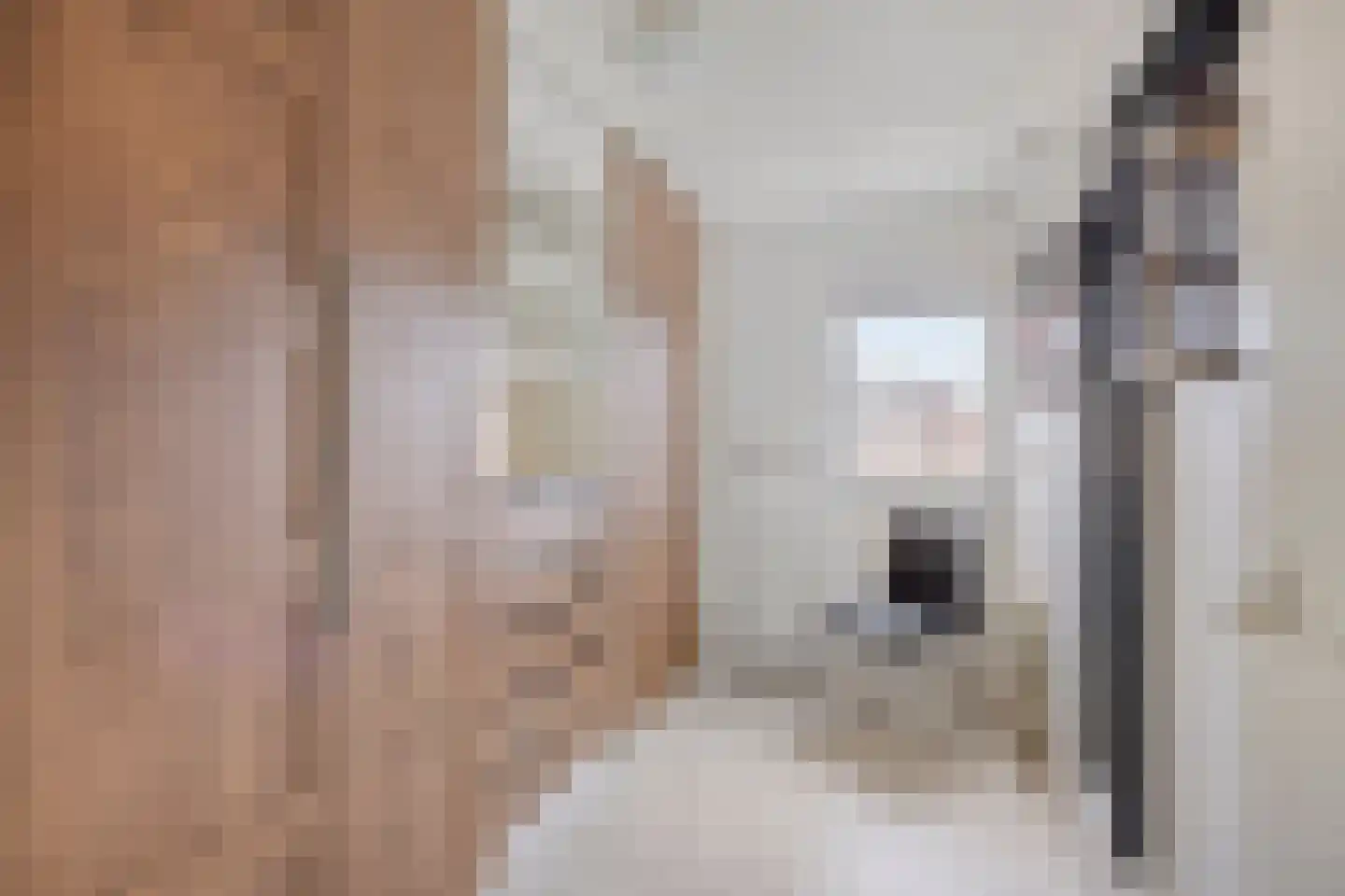 De Voerbaan 11 Dronten thumbnail 26