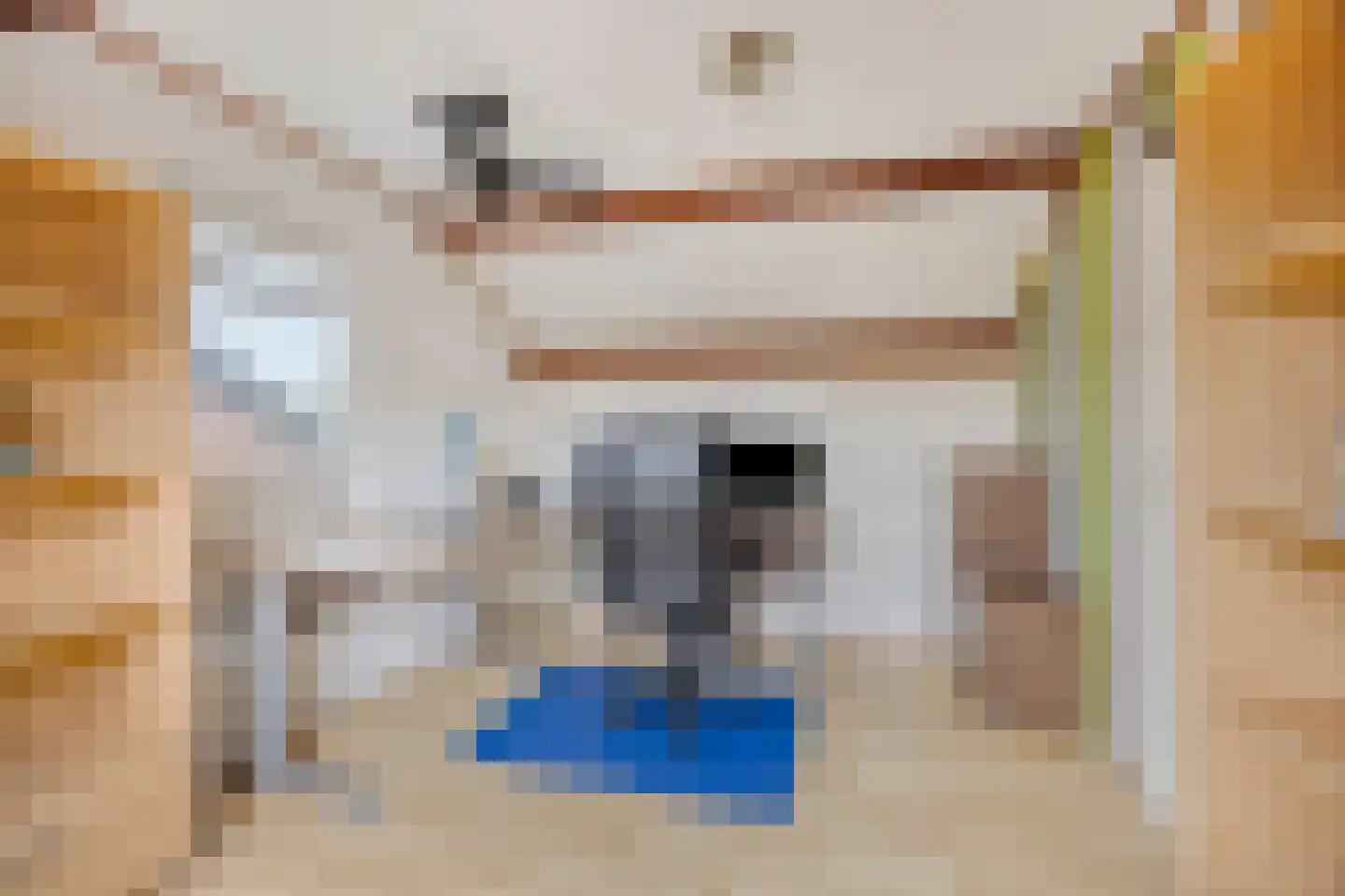 De Voerbaan 11 Dronten thumbnail 32