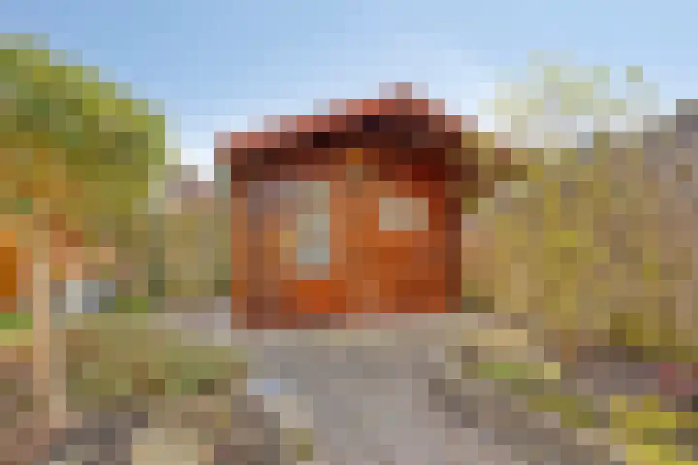 De Voerbaan 11 Dronten thumbnail 35