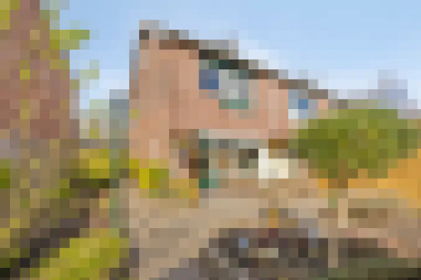 De Voerbaan 11 Dronten thumbnail 37