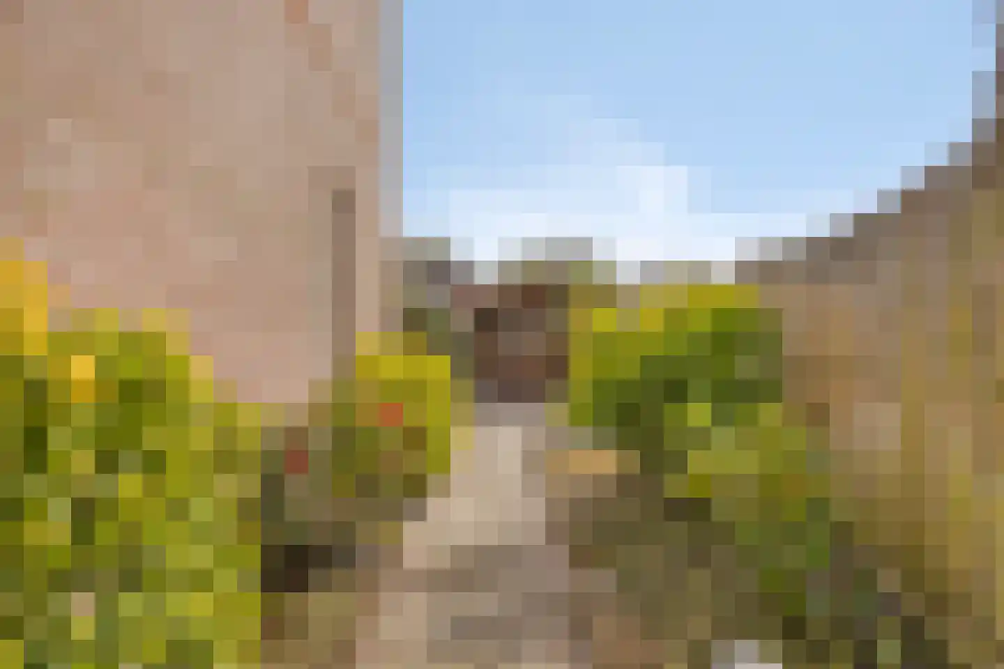 De Voerbaan 11 Dronten thumbnail 40