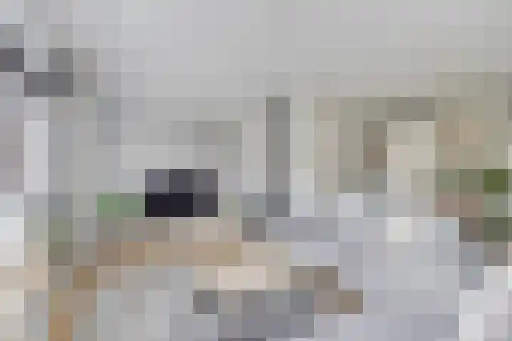 De Voerbaan 9 Dronten thumbnail 10