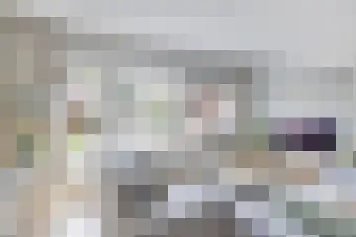 De Voerbaan 9 Dronten thumbnail 12