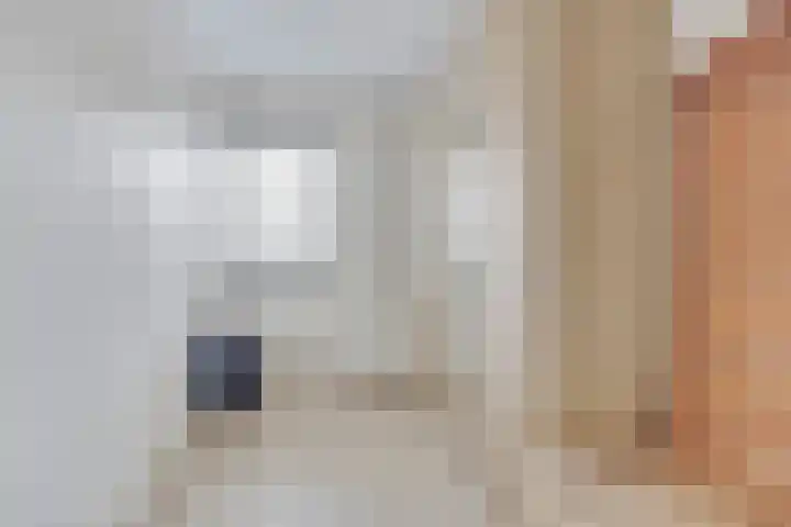 De Voerbaan 9 Dronten thumbnail 26