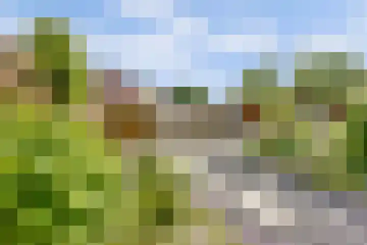 De Voerbaan 9 Dronten thumbnail 32