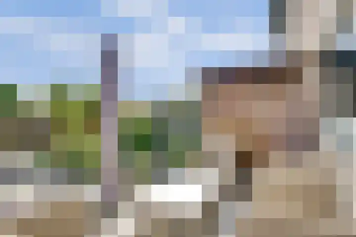 De Voerbaan 9 Dronten thumbnail 34