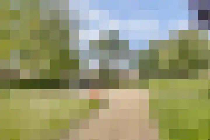 De Voerbaan 9 Dronten thumbnail 35
