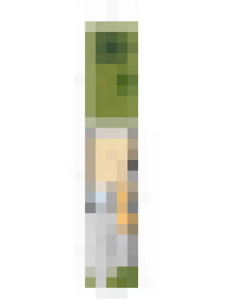 De Voerbaan 9 Dronten thumbnail 37