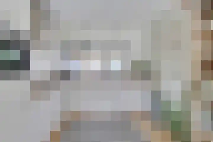 De Voerbaan 9 Dronten thumbnail 4
