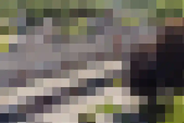 De Voerbaan 9 Dronten thumbnail 5