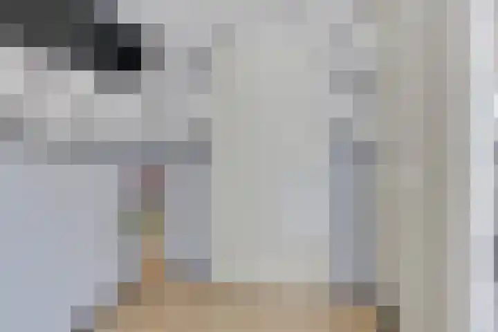 De Voerbaan 9 Dronten thumbnail 7