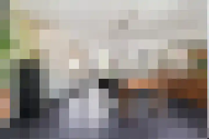 De Voerman 32 Sint-Michielsgestel thumbnail 11