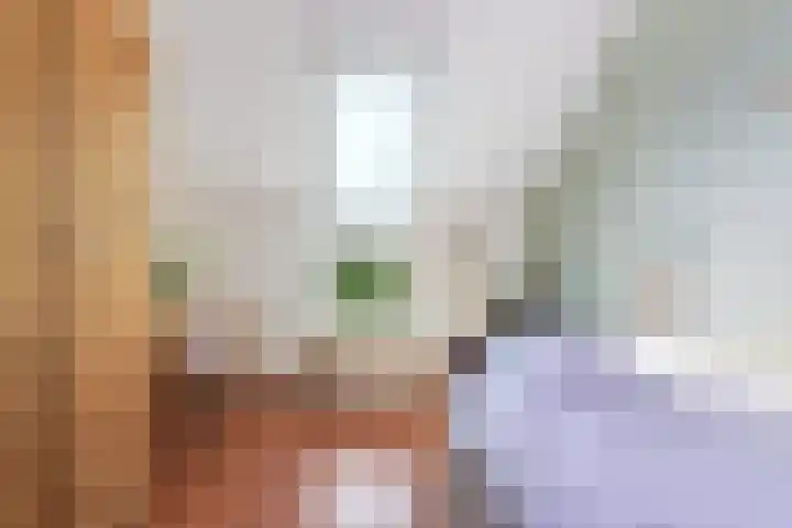 De Voerman 32 Sint-Michielsgestel thumbnail 27
