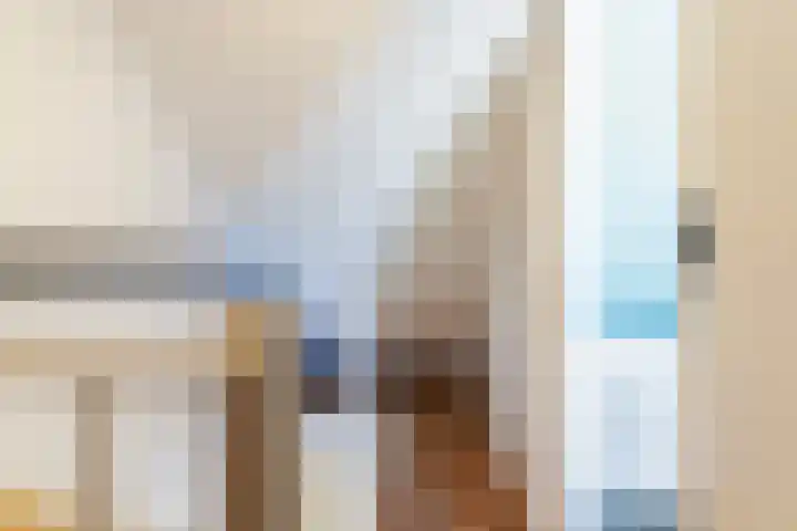 De Voerman 32 Sint-Michielsgestel thumbnail 38