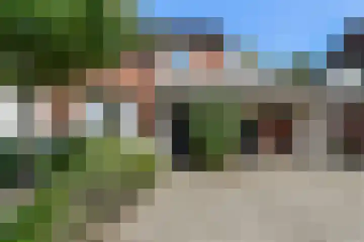 De Voerman 32 Sint-Michielsgestel thumbnail 4