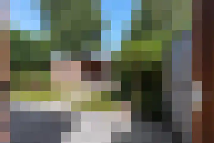 De Voerman 32 Sint-Michielsgestel thumbnail 44
