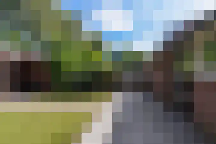De Voerman 32 Sint-Michielsgestel thumbnail 47