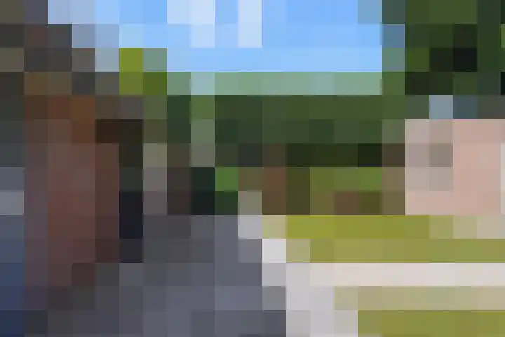 De Voerman 32 Sint-Michielsgestel thumbnail 51