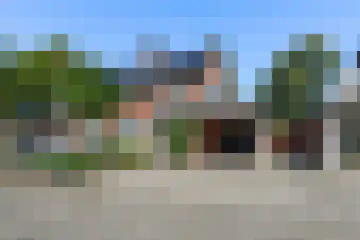 De Voerman 32 Sint-Michielsgestel thumbnail 54