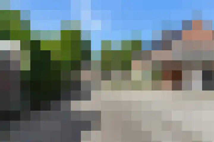 De Voerman 32 Sint-Michielsgestel thumbnail 56