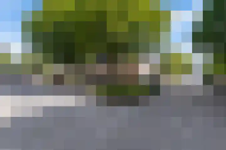 De Voerman 32 Sint-Michielsgestel thumbnail 57