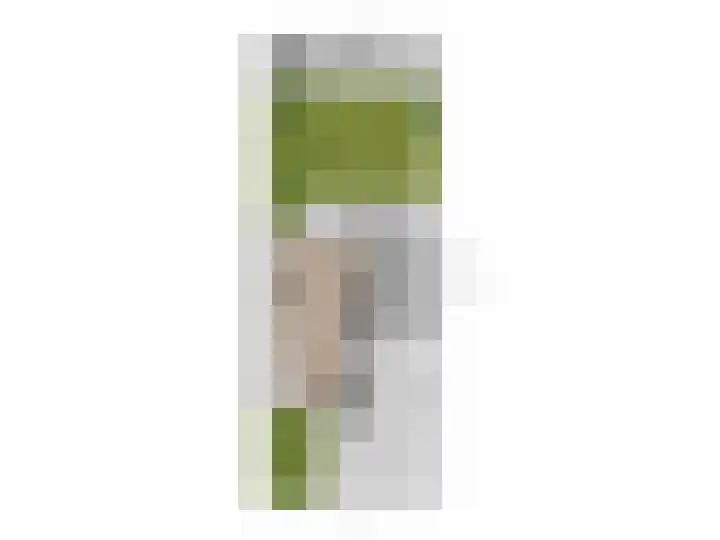 De Voerman 32 Sint-Michielsgestel thumbnail 58