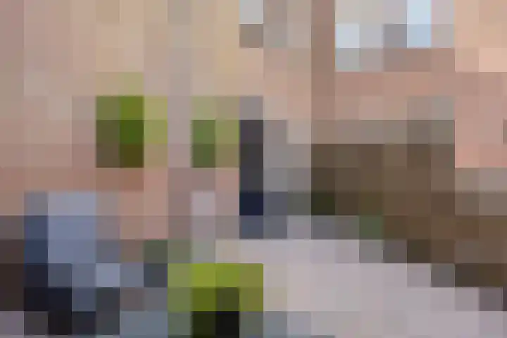 De Voeting 21 Amersfoort thumbnail 17
