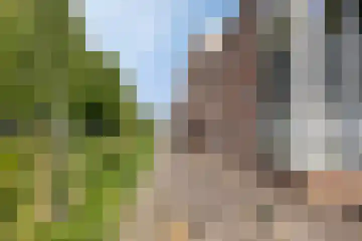 De Voeting 21 Amersfoort thumbnail 19